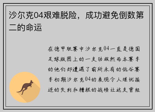 沙尔克04艰难脱险，成功避免倒数第二的命运